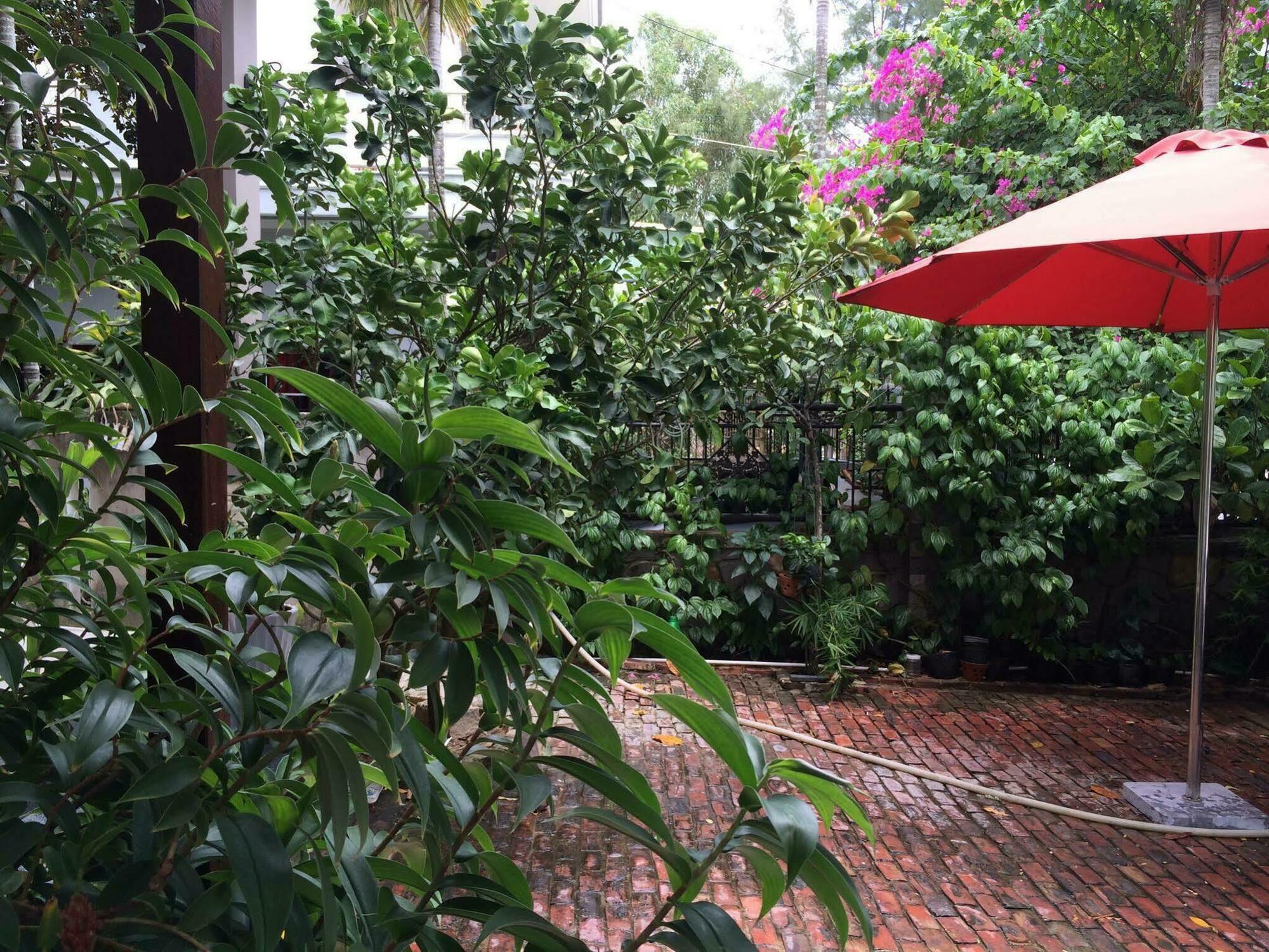 Mama'S House Hoi An Homestay Екстериор снимка