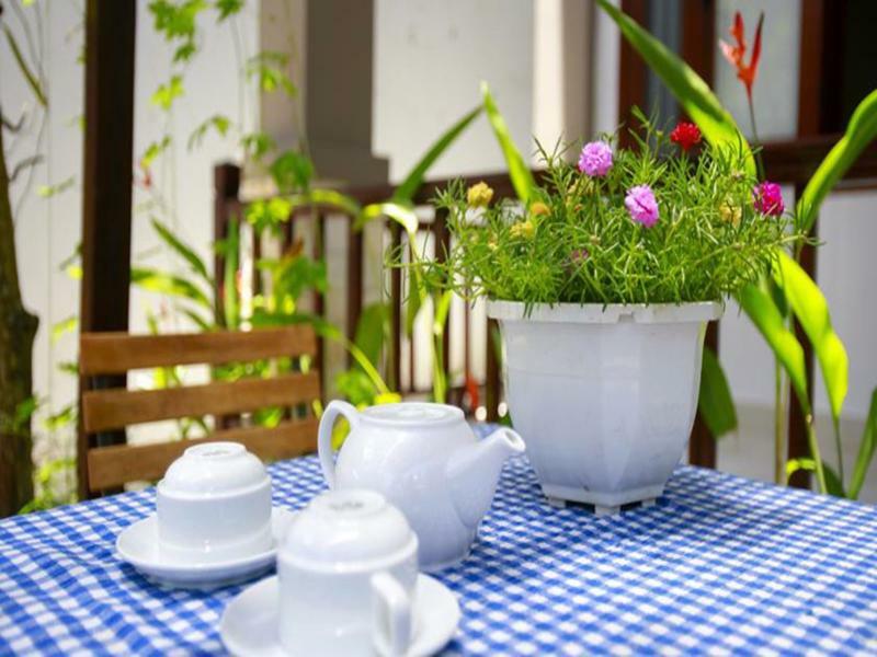 Mama'S House Hoi An Homestay Екстериор снимка